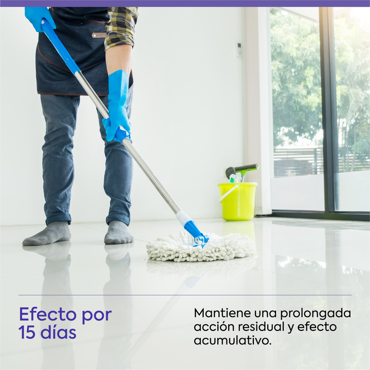 Friegasuelos insecticida 1L