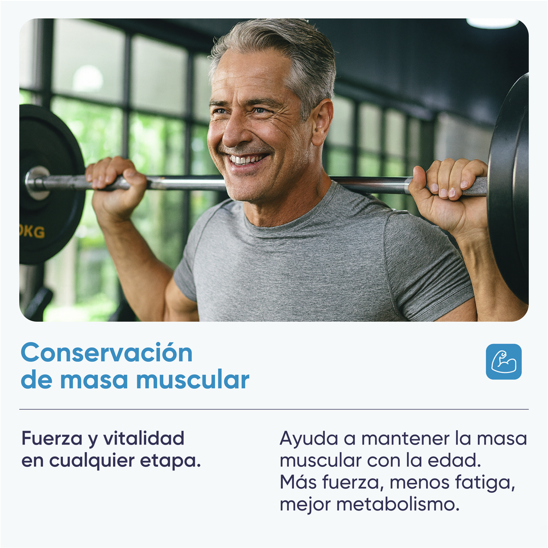 CREATINE 200 MESH 300 GR