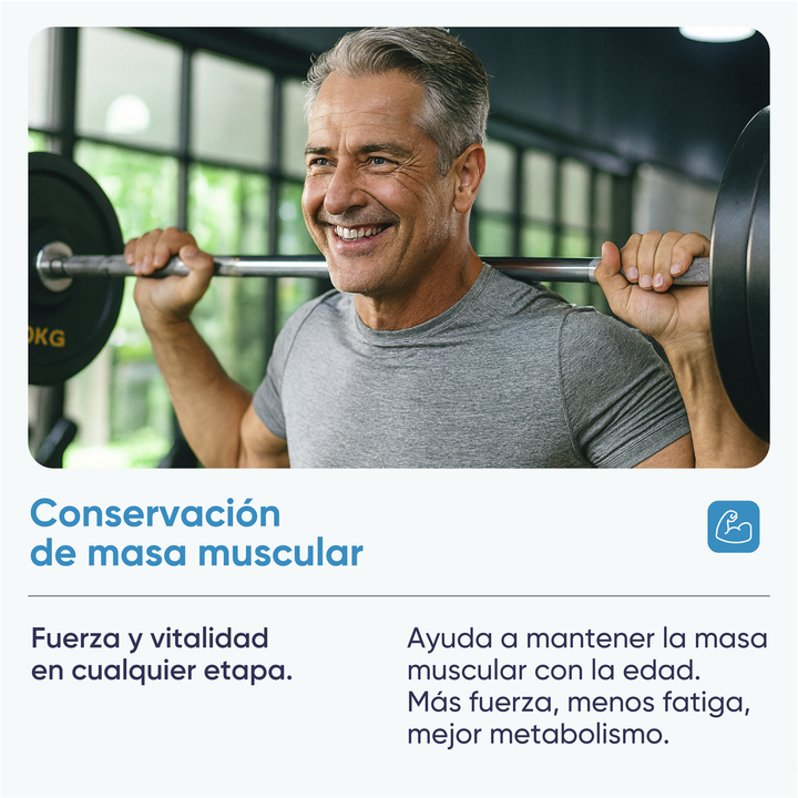 CREATINE 200 MESH 300 GR