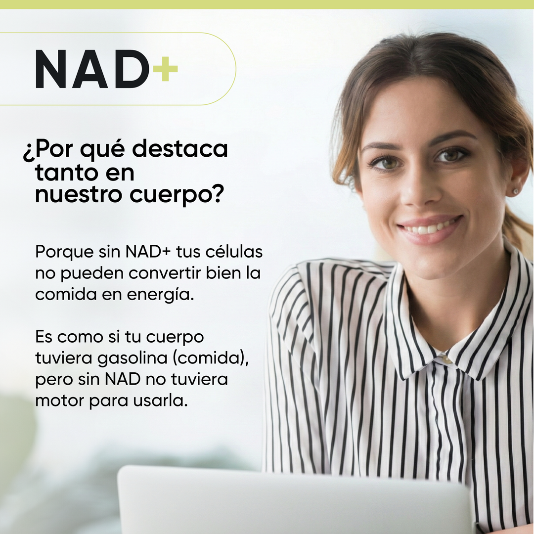 NAD+ RcOcio – Resveratrol - Quercetina - Antienvejecimiento