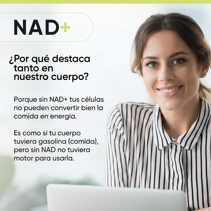 NAD+ RcOcio – Resveratrol - Quercetina - Antienvejecimiento