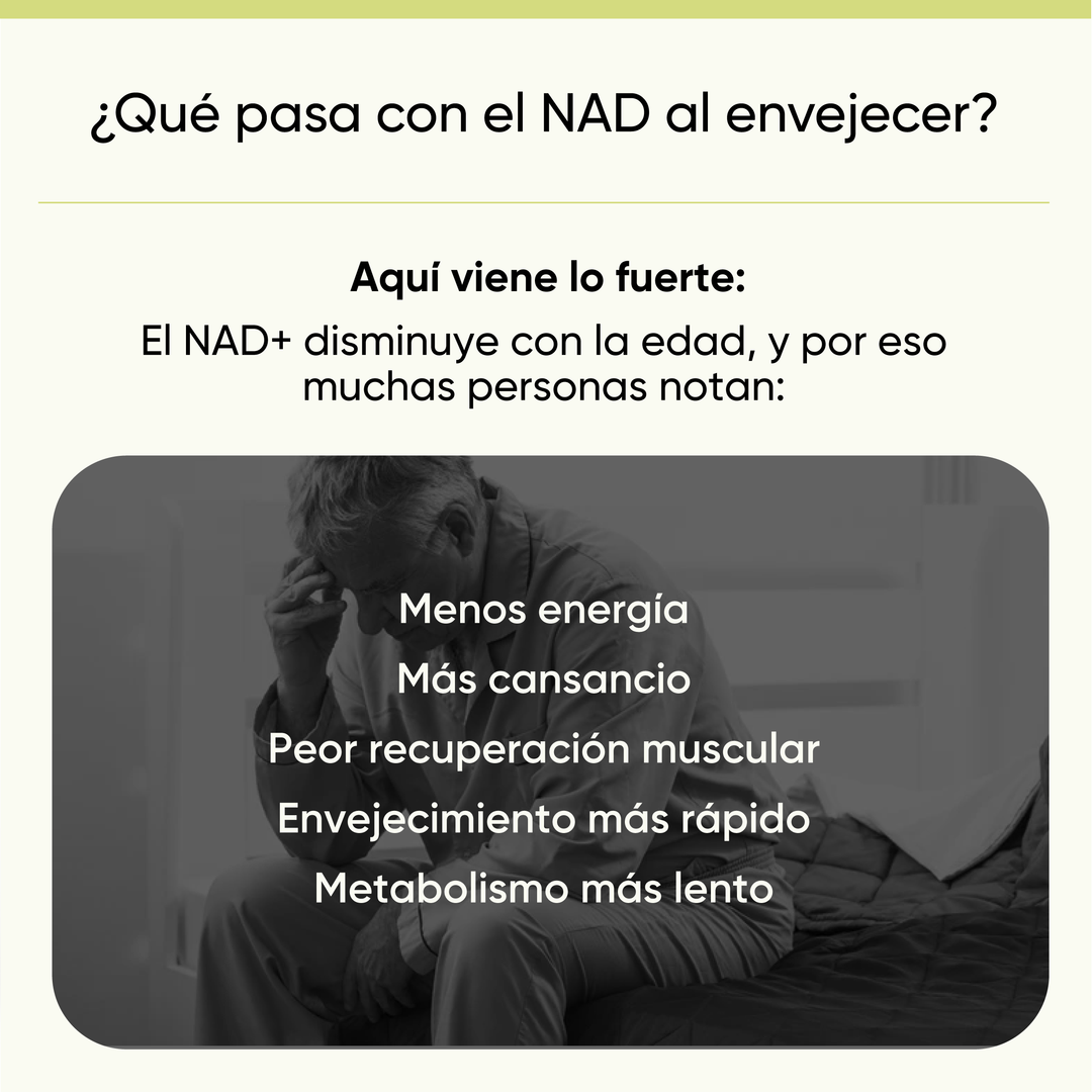 NAD+ RcOcio – Resveratrol - Quercetina - Antienvejecimiento