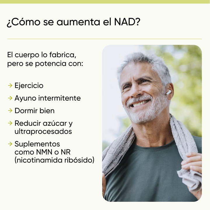 NAD+ RcOcio – Resveratrol - Quercetina - Antienvejecimiento