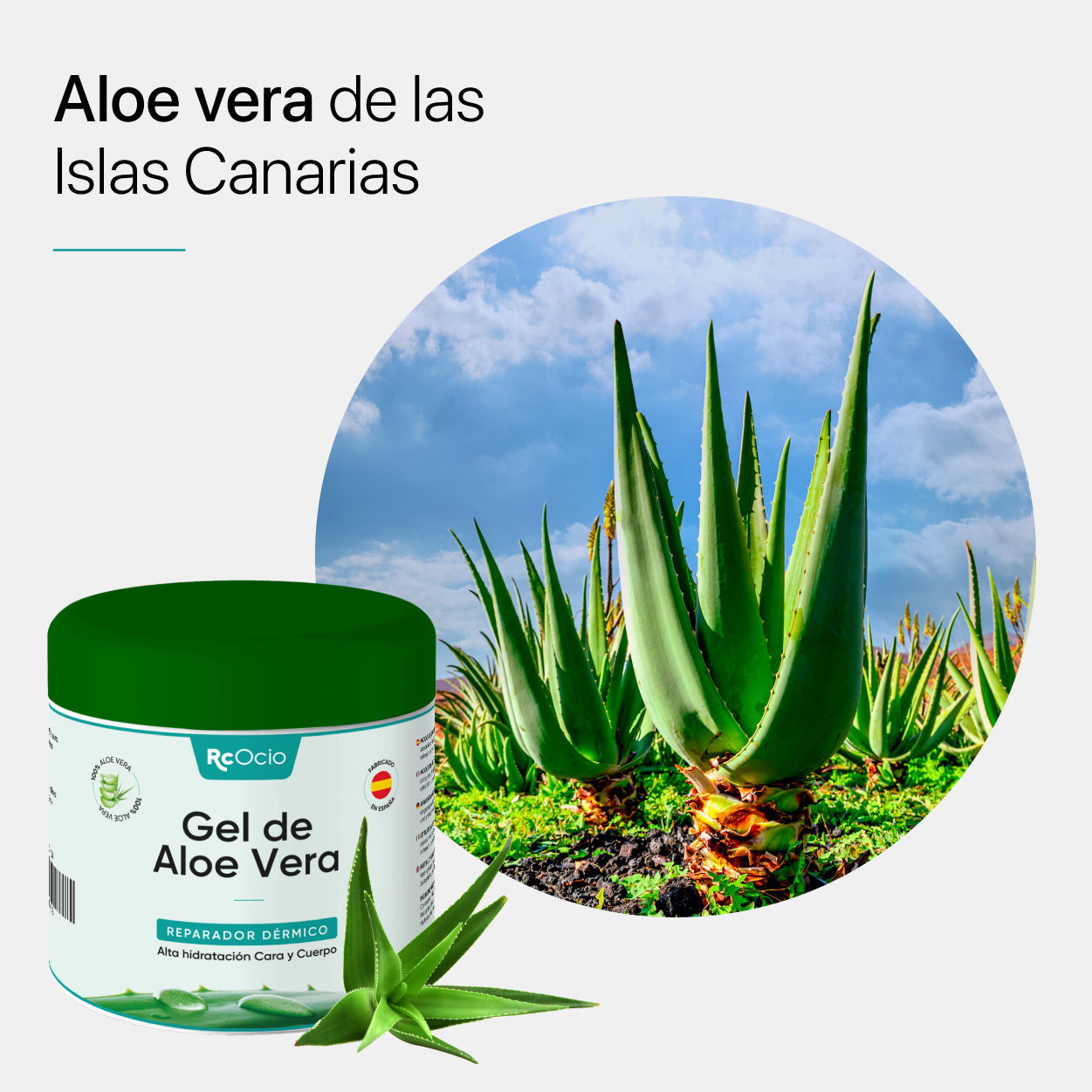 Gel Aloe Vera Relax Frío Con Garra Del Diablo | Naturales Canarias - Foto 4