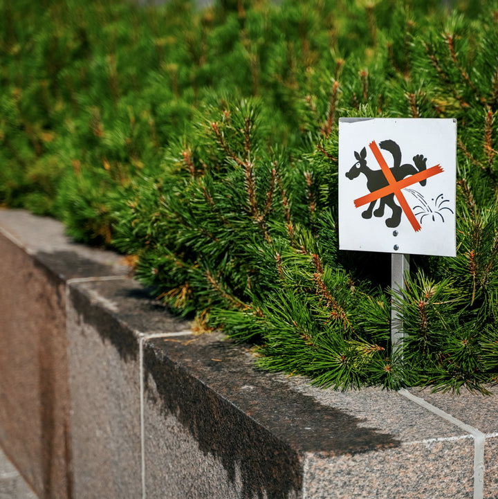 Chao olor® | Neutralizador olor de orina