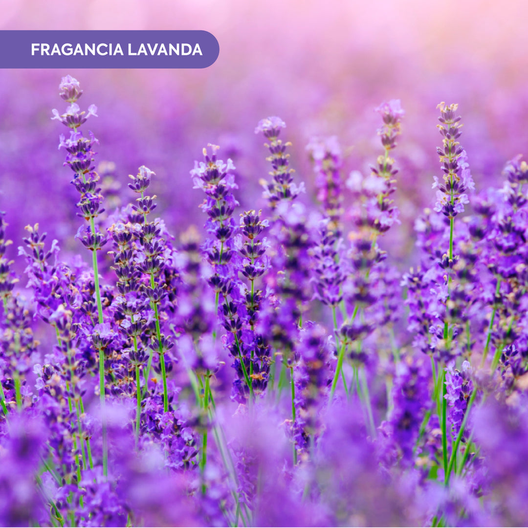 Friegasuelos insecticida 1L