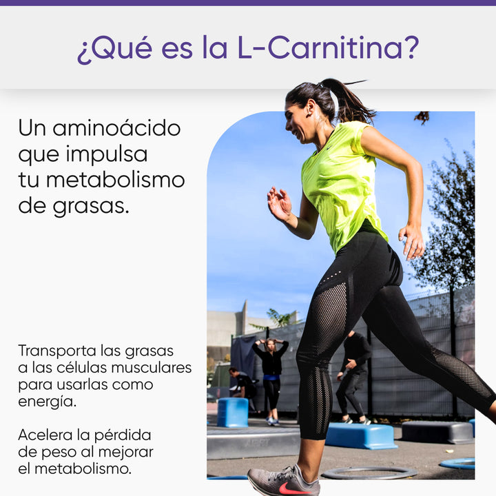 L-carnitina