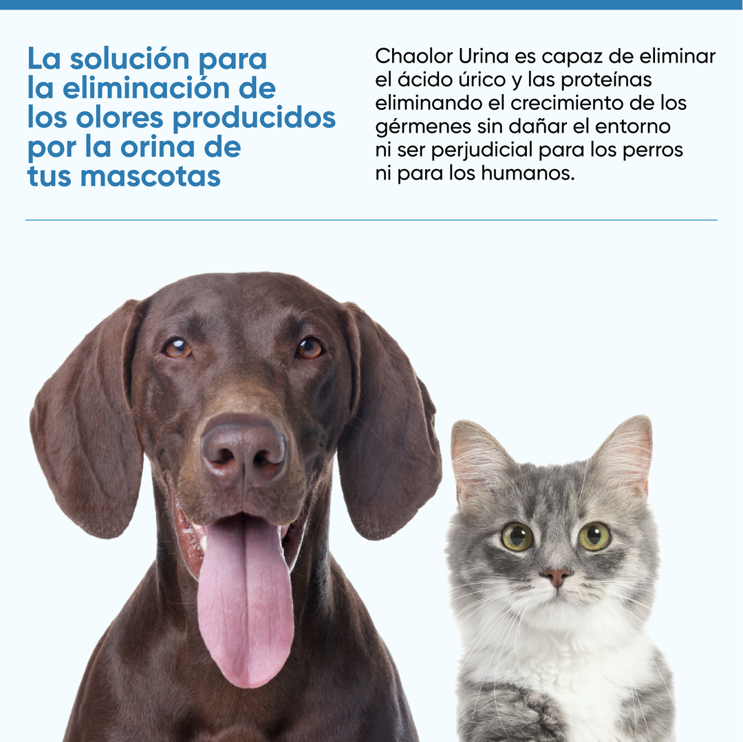 Chao olor® | Neutralizador olor de orina