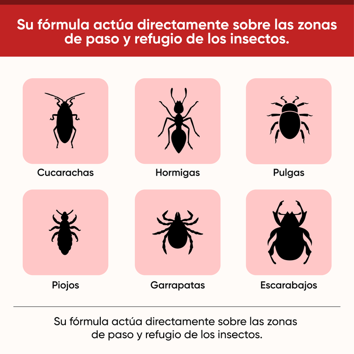 Insecticida Insectol