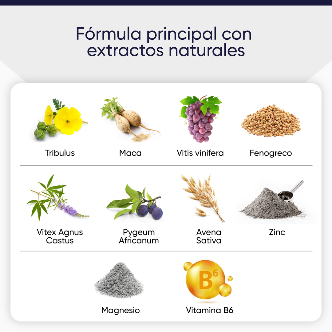 TEST BOOSTER 20 STICKS