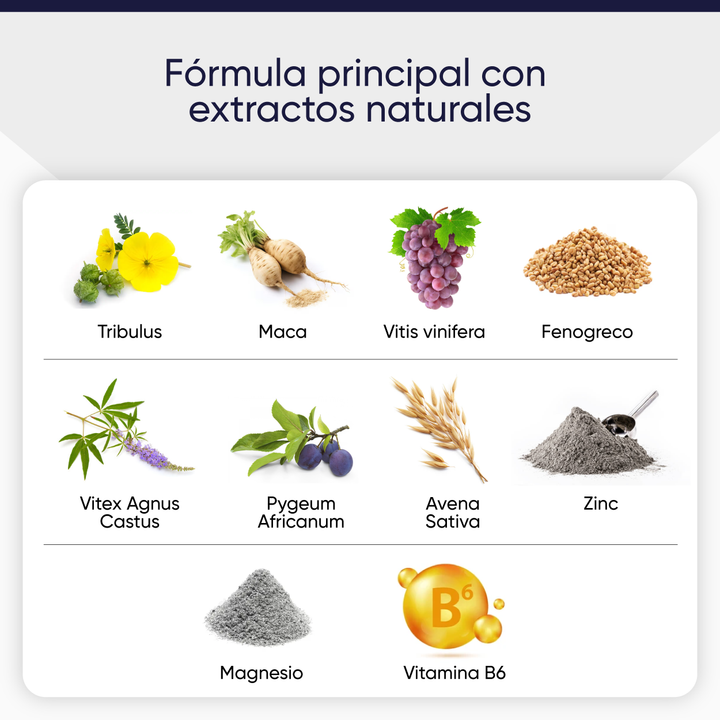 TEST BOOSTER 20 STICKS